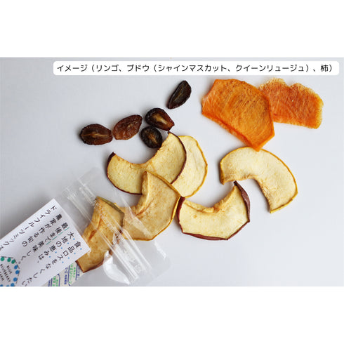 食品ロスをなくしたい!大地の恵みは、最後まで美味しく。農家が作る旬のドライフルーツミックス。(内容おまかせ。今の季節はリンゴ、柑橘、キウイフルーツブドウ、イチゴなど。内容量15~25g程度です)